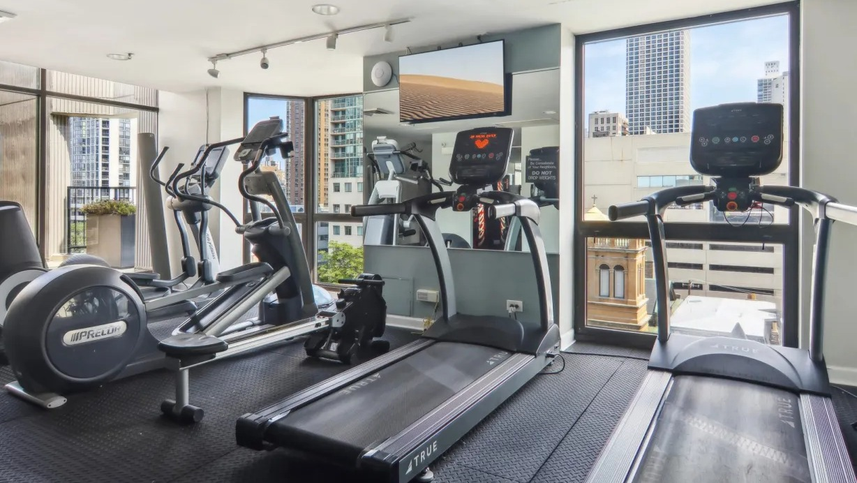 Gym at 1000 N LaSalle in Chicago highlighting treadmills and ellipticals near bright windows, rubber flooring, and panoramic skyline views