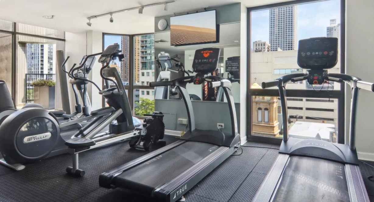 Gym at 1000 N LaSalle in Chicago highlighting treadmills and ellipticals near bright windows, rubber flooring, and panoramic skyline views