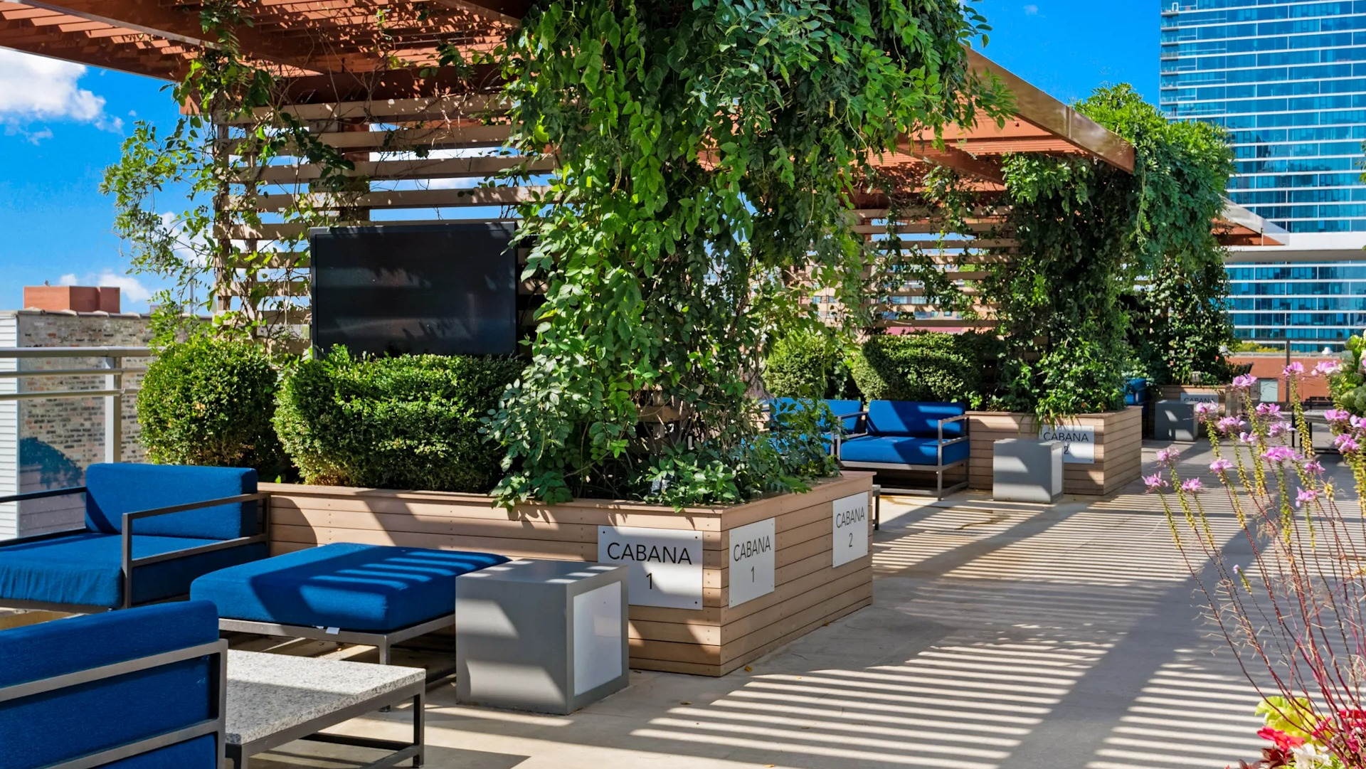 Shaded cabanas with modern seating, greenery, and mounted TVs at 1001 South State apartments in Chicago