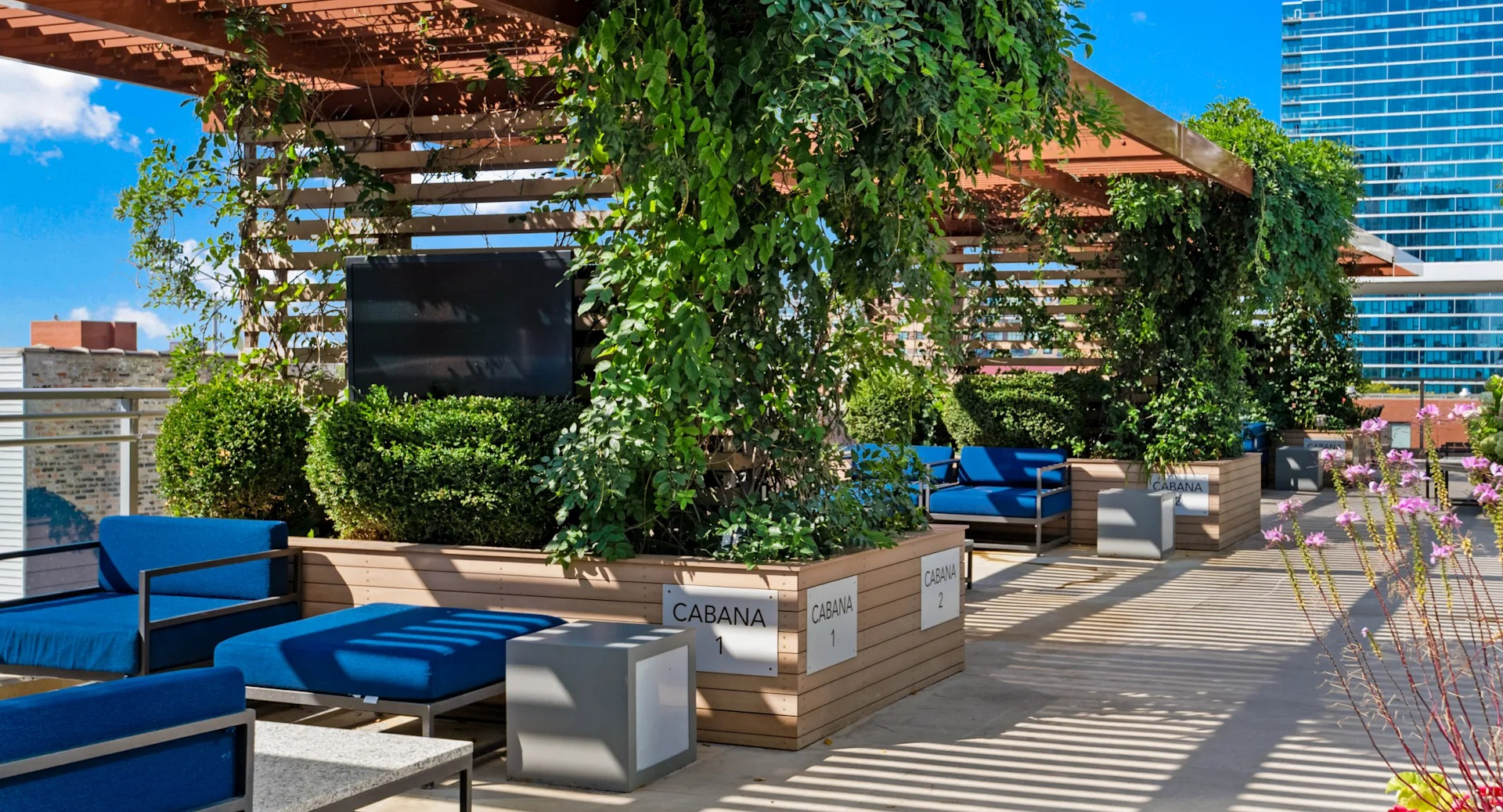 Shaded cabanas with modern seating, greenery, and mounted TVs at 1001 South State apartments in Chicago
