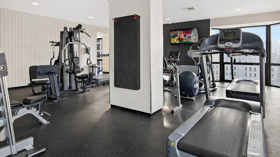 Bright fitness center at 1111 N Dearborn in Chicago featuring treadmills, weight machines, and large windows—ideal for residents seeking an on-site gym