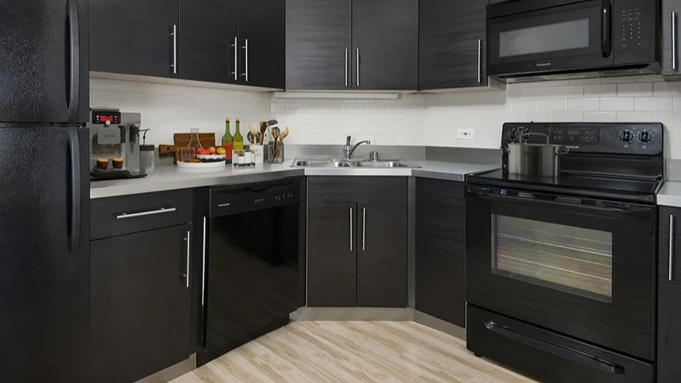 U-shaped kitchen with black cabinets, stainless pulls, and modern black appliances at 1120 N LaSalle apartments in Chicago