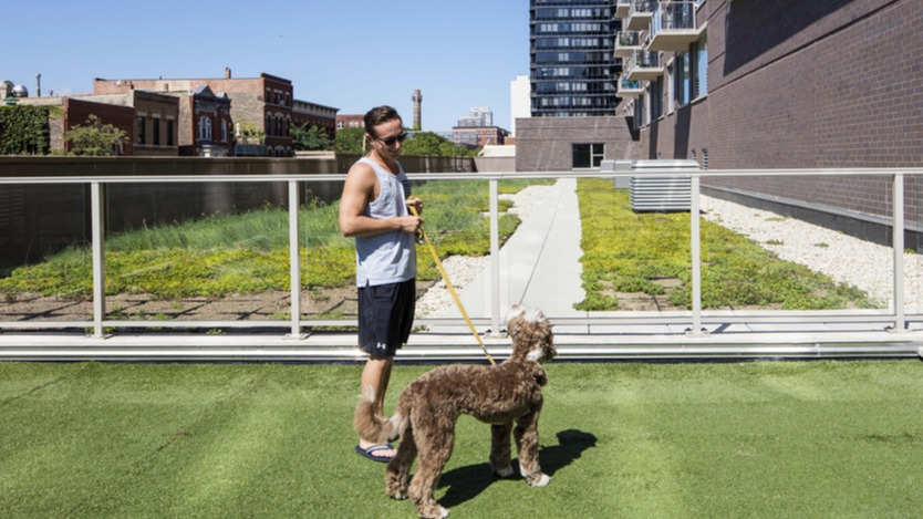 Pet-friendly outdoor dog run and green terrace with city backdrop at 1225 Old Town Apartments in Chicago, perfect for daily walks