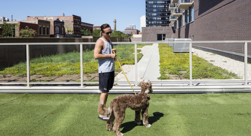 Pet-friendly outdoor dog run and green terrace with city backdrop at 1225 Old Town Apartments in Chicago, perfect for daily walks