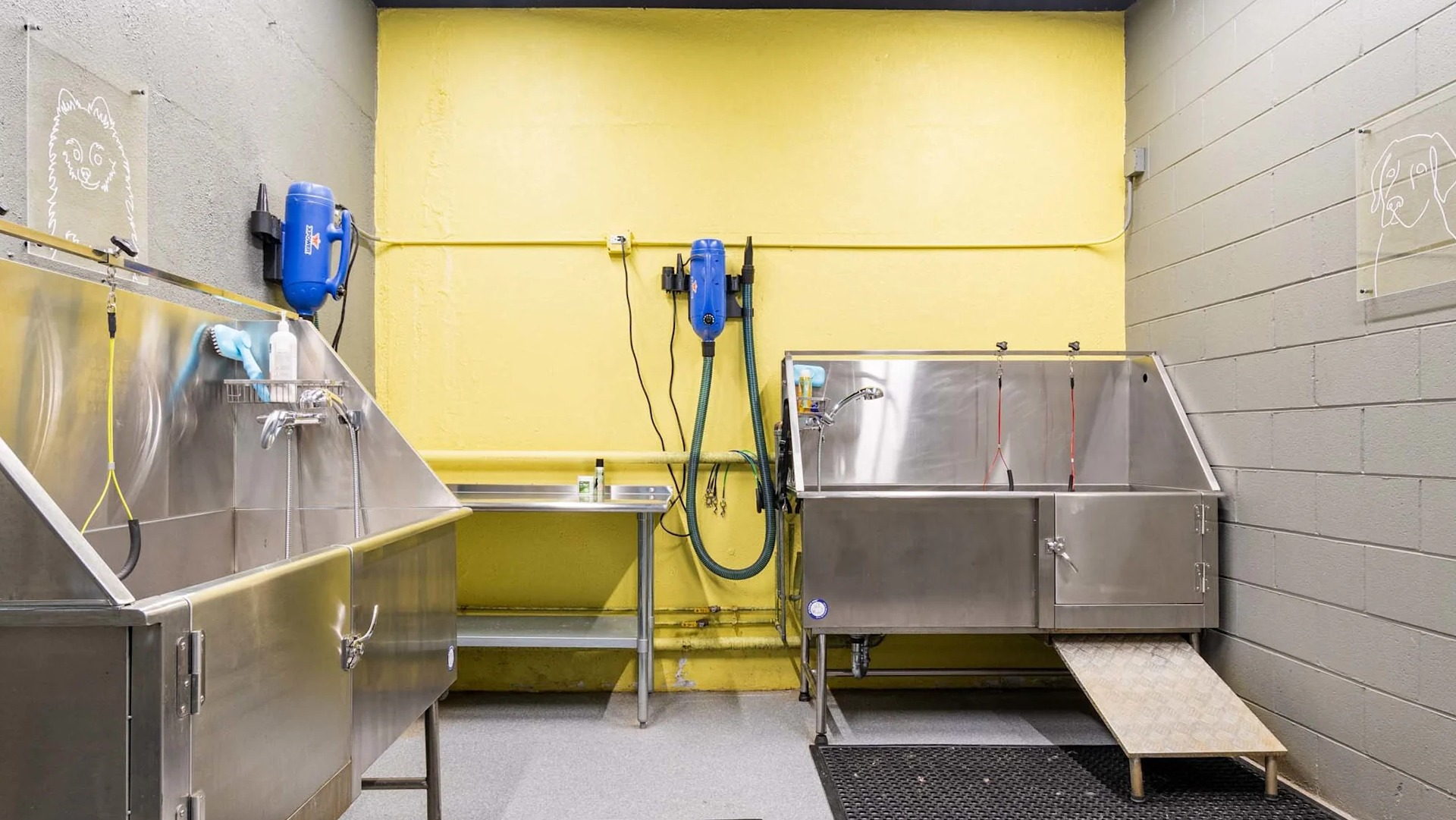 Pet wash station at 1250 LaSalle in Chicago with two stainless tubs, sprayers, drying equipment, ramps, and non-slip mats for easy grooming