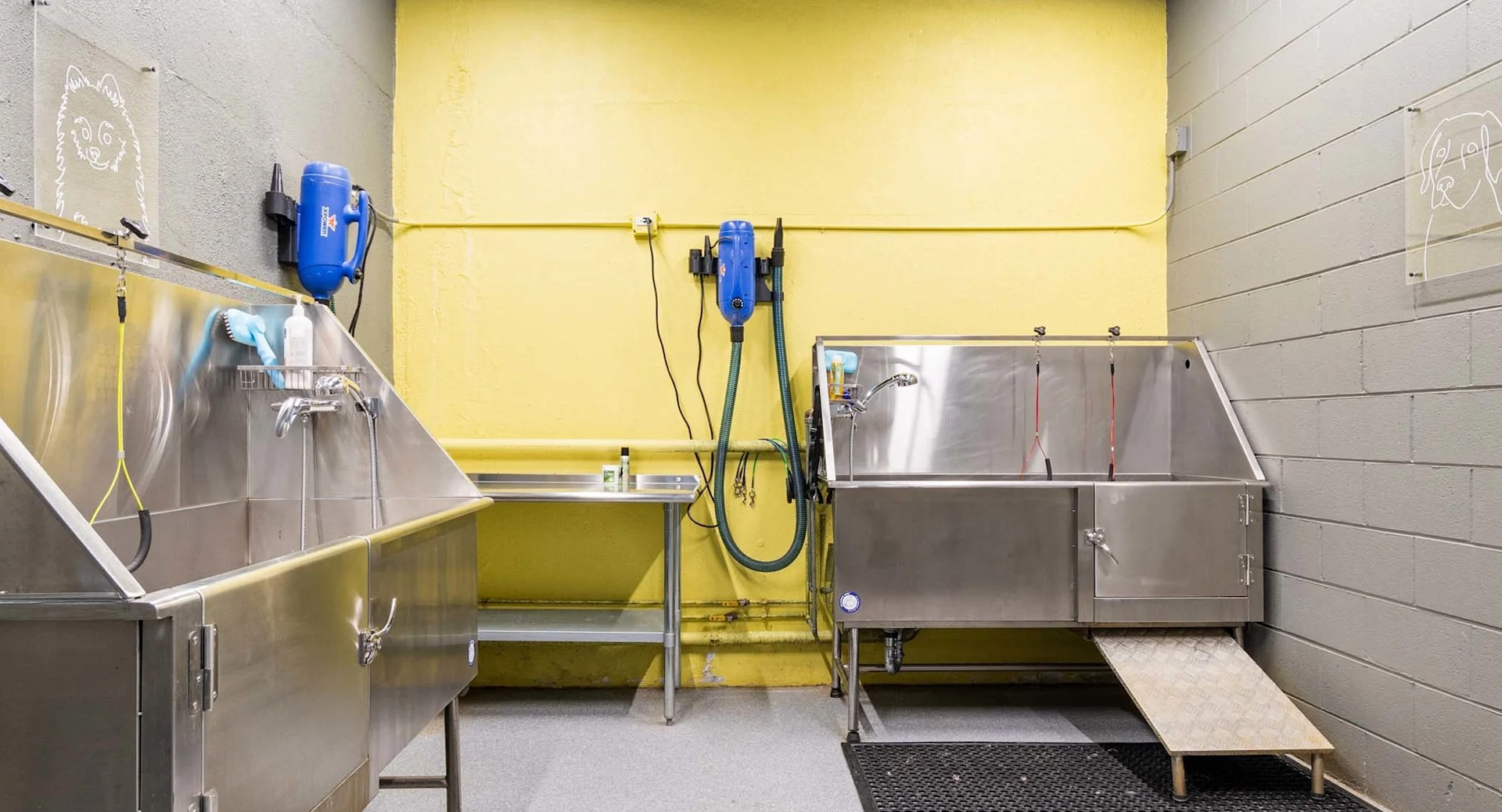 Pet wash station at 1250 LaSalle in Chicago with two stainless tubs, sprayers, drying equipment, ramps, and non-slip mats for easy grooming