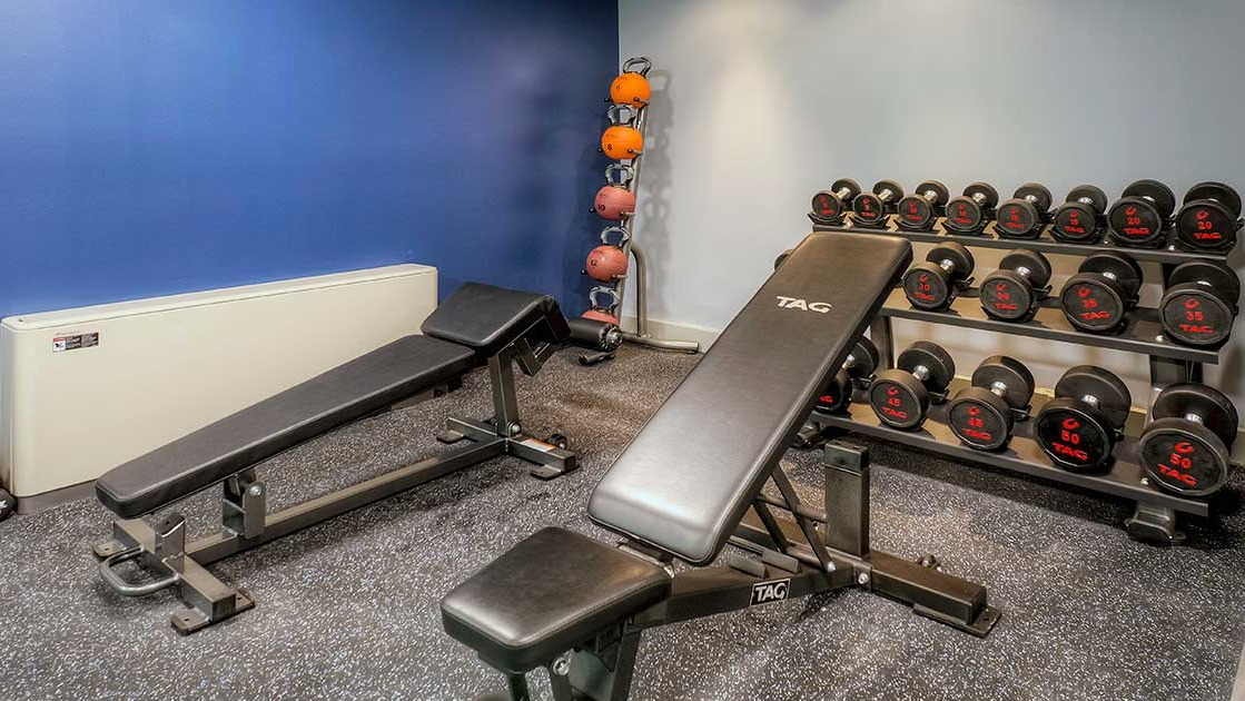 Dedicated free weights room with benches, dumbbells, and medicine balls at 1350-1360 Lake Shore Drive apartments in Chicago