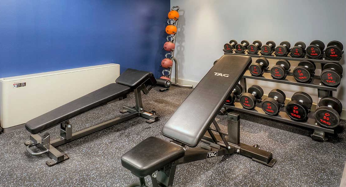 Dedicated free weights room with benches, dumbbells, and medicine balls at 1350-1360 Lake Shore Drive apartments in Chicago