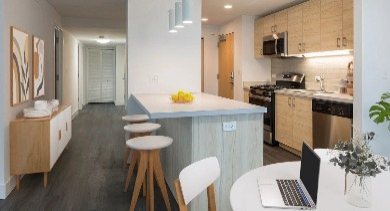 Hyde Park apartment for rent