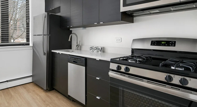 Renovated kitchen with dark flat-panel cabinets, quartz counters, stainless appliances, gas range, and window light at 20 E Scott apartments in Chicago