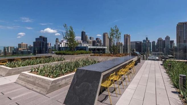 3Eleven Luxury Apartments