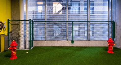 Indoor dog run with turf, rinse station, and playful fire hydrants at 73 East Lake apartments in Chicago, ideal for pet-friendly living