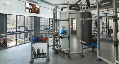 Functional training gym with Life Fitness rig, punching bag, medicine balls, and city views at 73 East Lake apartments in Chicago
