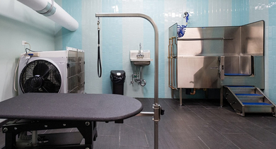 Pet spa with grooming table, wash station, dryer crates, and tiled walls at 73 East Lake apartments in Chicago for convenient pet care