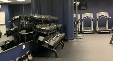 On-site fitness center at 731 Plymouth in Chicago with mirrors, racks of free weights, kettlebells, and cardio equipment in a clean, modern space