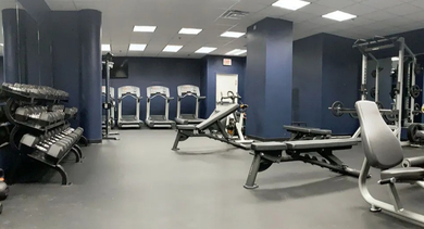 Full gym at 731 Plymouth in Chicago offering treadmills, benches, weight machines, and free weights in a spacious room with bright overhead lighting