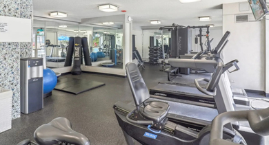 Resident fitness center at 750 N Rush St in Chicago featuring treadmills, weight machines, free weights, mirrors, and natural light by large windows