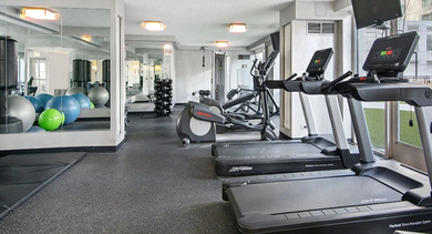 On-site fitness center with treadmills, bikes, free weights, and mirrored walls at 750 N Rush St apartments in River North, Chicago—convenient gym for residents