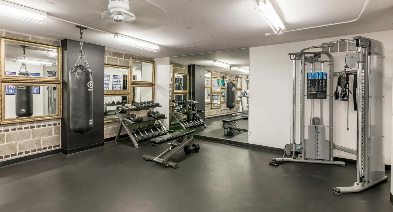 Fitness studio with free weights, cable machine, heavy bag, and wall mirrors for strength training at 860 N Dewitt Apartments in Chicago