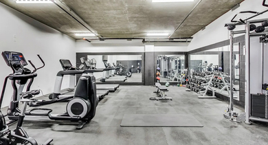 Light-filled fitness center with treadmills, spin bikes, rower, free weights, and wall-to-wall windows at Aberdeen East Apartments in Chicago