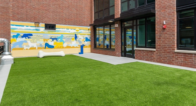 Fenced pet park at AMLI 808 in Chicago with turf and play space—pet-friendly amenity for quick walks, training, and off-leash fun
