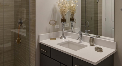 Modern bathroom with a spacious walk-in shower, stylish vanity, and contemporary decor at AMLI Lofts in Chicago