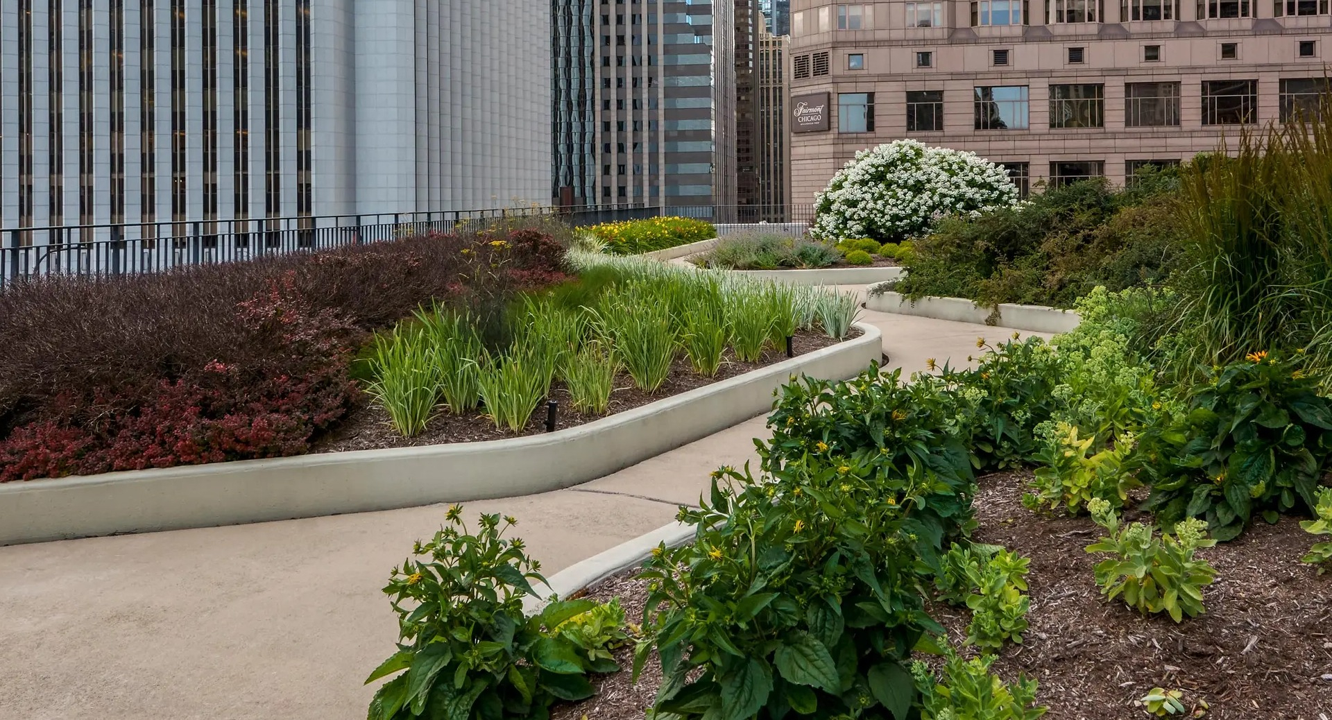 Landscaped rooftop garden walkway with plants, flowers, and views of Chicago skyscrapers at Aqua at Lakeshore East Apartments