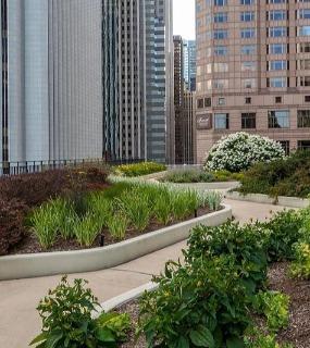 Serene rooftop garden path with lush greenery and stunning city views at Aqua at Lakeshore East apartments, Chicago