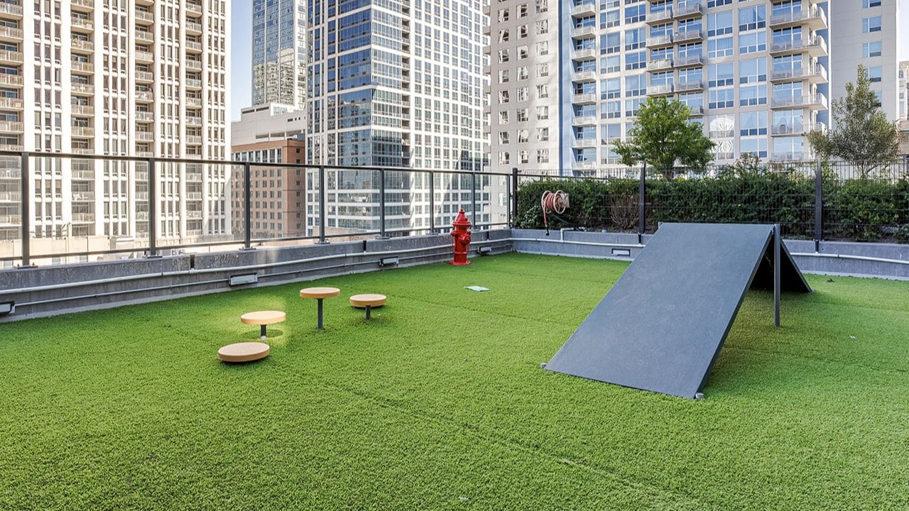 Outdoor dog run with artificial grass and agility equipment, offering city views at Arrive Michigan Avenue apartments in Chicago