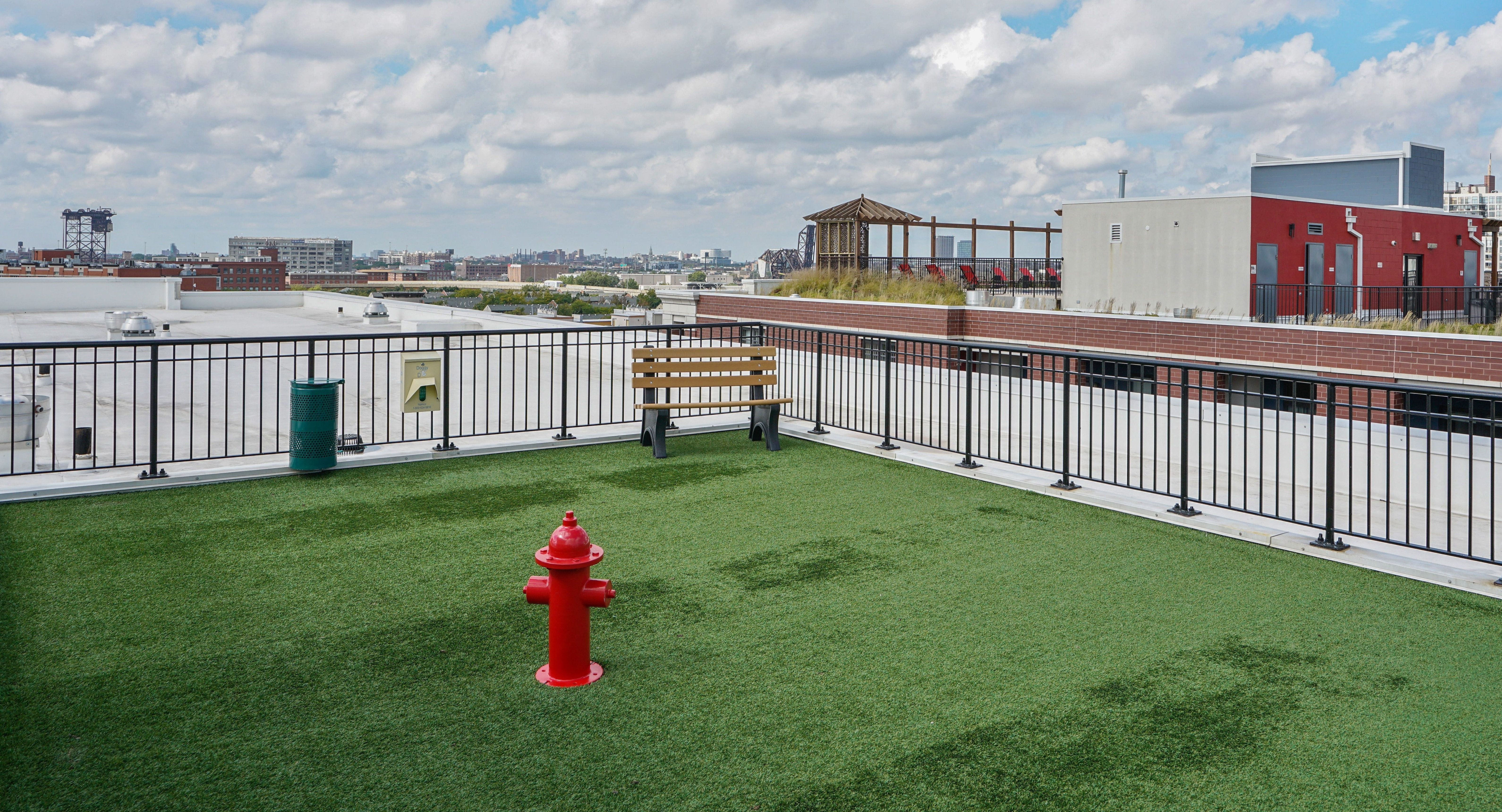Expansive rooftop dog park at Arrive South Loop apartments with artificial turf, seating, and city skyline views in Chicago