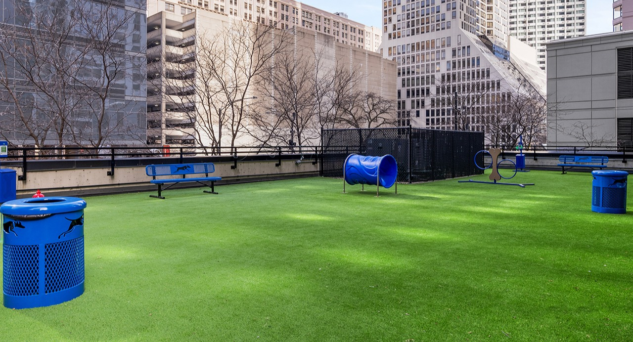 Pet-friendly dog park at Arrive Streeterville with artificial turf, play equipment, and blue amenities