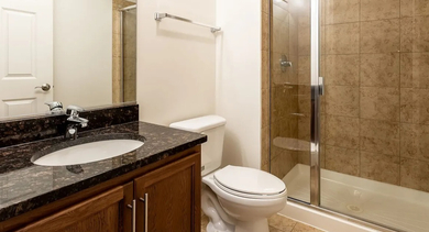 Classic bathroom with a dark granite vanity, wood cabinets, and a tiled walk-in shower at Astoria Tower Chicago apartments