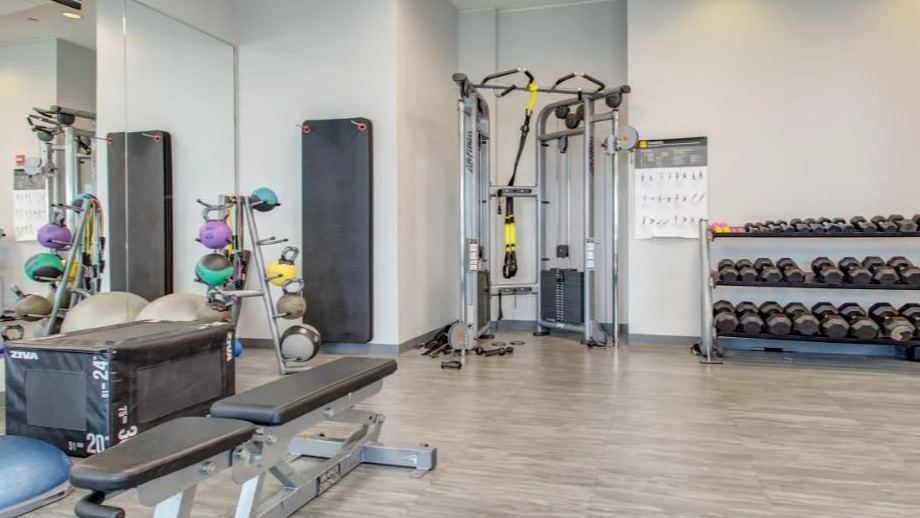 Comprehensive gym at Atwater Apartments in Chicago, featuring a wide selection of free weights, strength machines, and workout benches