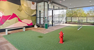 Avra West Loop in Chicago offers a vibrant outdoor dog park with agility equipment and a colorful mural