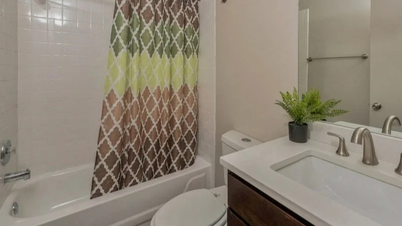 Full bathroom with a shower-tub combo, modern vanity, and decorative plant at Carriage House Lofts in Chicago