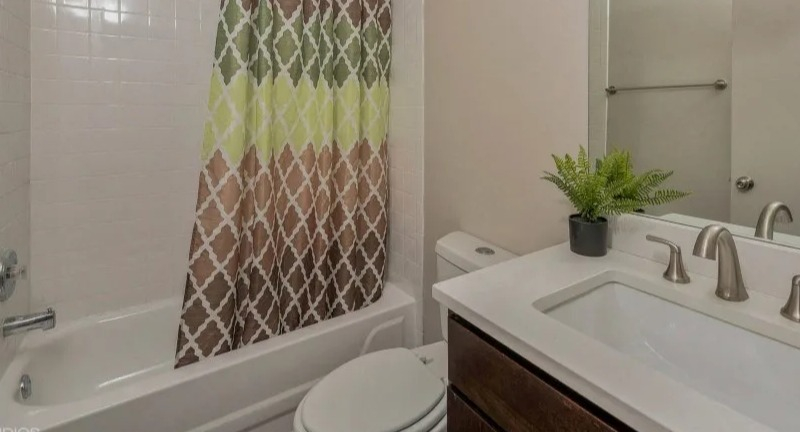Full bathroom with a shower-tub combo, modern vanity, and decorative plant at Carriage House Lofts in Chicago