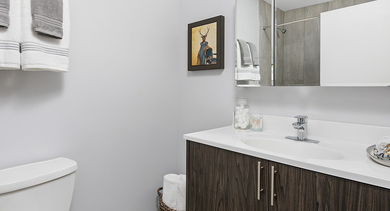 Modern bathroom featuring a dark wood vanity, white countertop, and contemporary fixtures at Century Tower Apartments Chicago