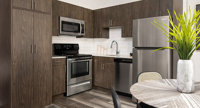 Sleek kitchen design with stainless steel appliances, dark wood cabinets, and ample counter space at Century Tower Apartments Chicago