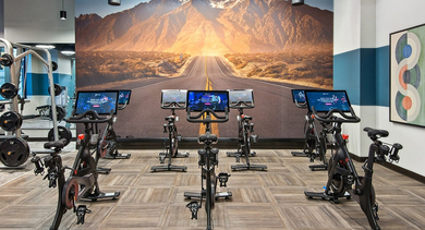 Dedicated spin studio within the gym featuring multiple bikes and a scenic mural at Century Tower Apartments Chicago