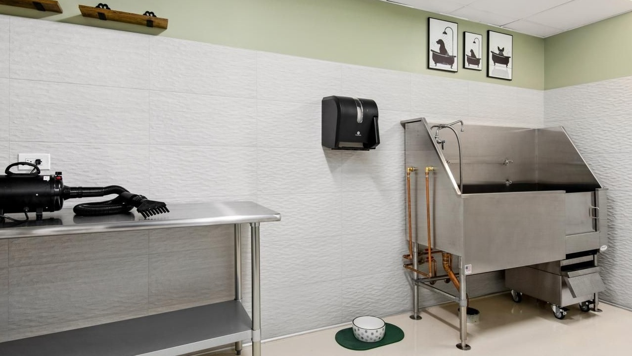 A convenient pet washing station at Chestnut Towers, featuring a stainless steel tub and grooming equipment