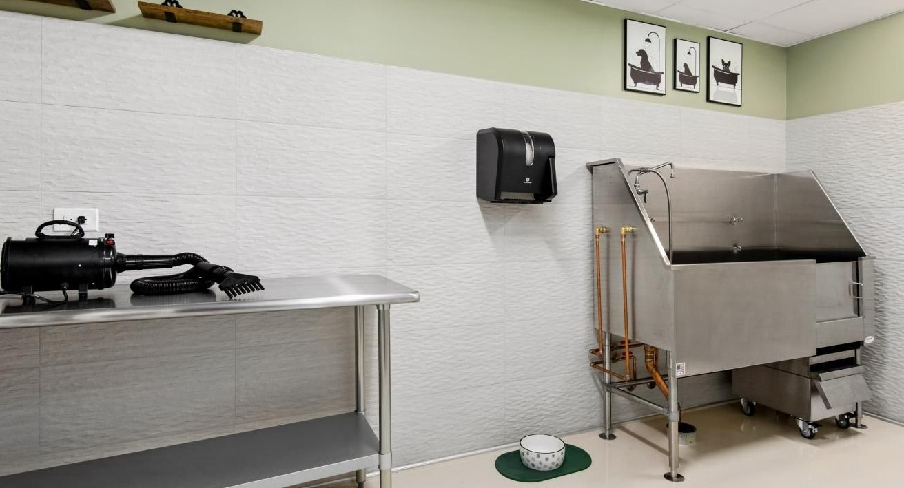 A convenient pet washing station at Chestnut Towers, featuring a stainless steel tub and grooming equipment