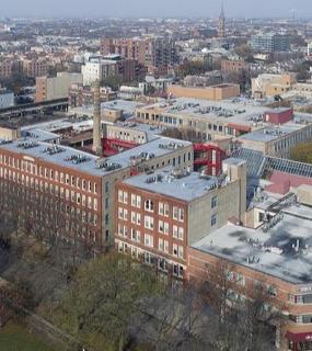 Stunning city view from Cobbler Square Lofts, showcasing the Chicago skyline and urban landscape