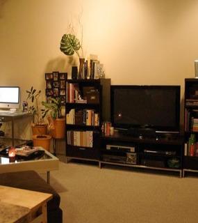 Spacious living room with large windows, modern décor, and comfortable seating at Cobbler Square Lofts in Chicago
