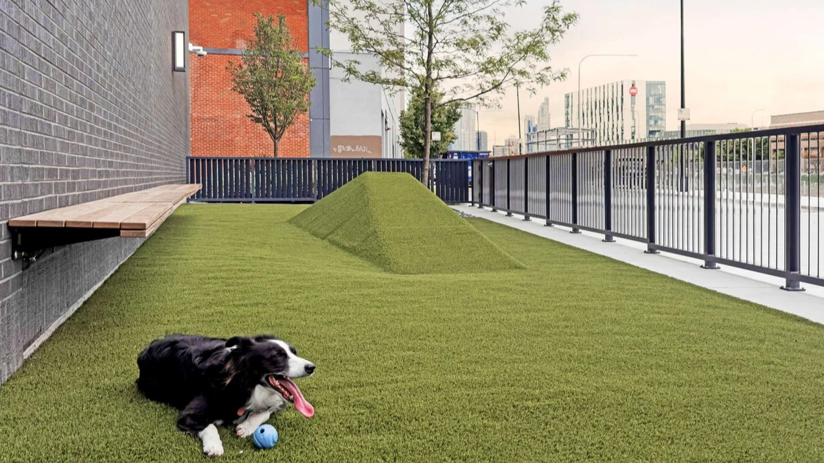 Pet-friendly outdoor dog park at Coppia apartments in Chicago, featuring artificial turf and a happy dog