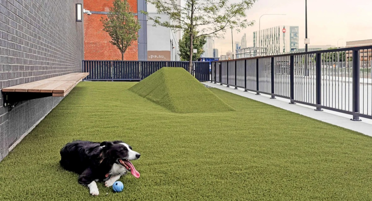 Pet-friendly outdoor dog park at Coppia apartments in Chicago, featuring artificial turf and a happy dog