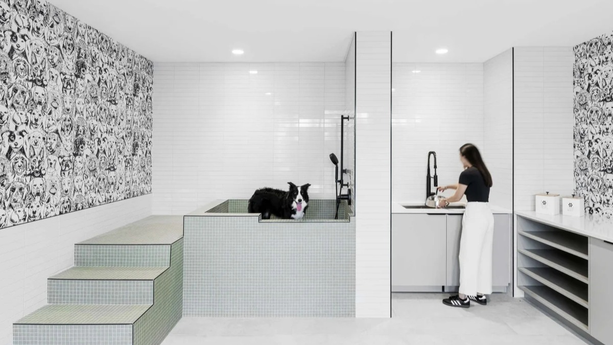Modern pet spa and dog wash station at Coppia apartments in Chicago, featuring sleek tiles and grooming facilities