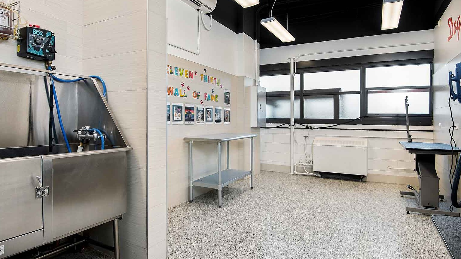 Clean and well-equipped pet washing station with a stainless steel tub and grooming dryers, at Eleven Thirty apartments in Chicago