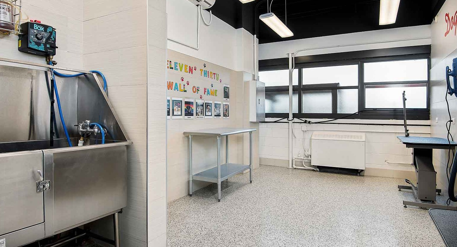 Clean and well-equipped pet washing station with a stainless steel tub and grooming dryers, at Eleven Thirty apartments in Chicago