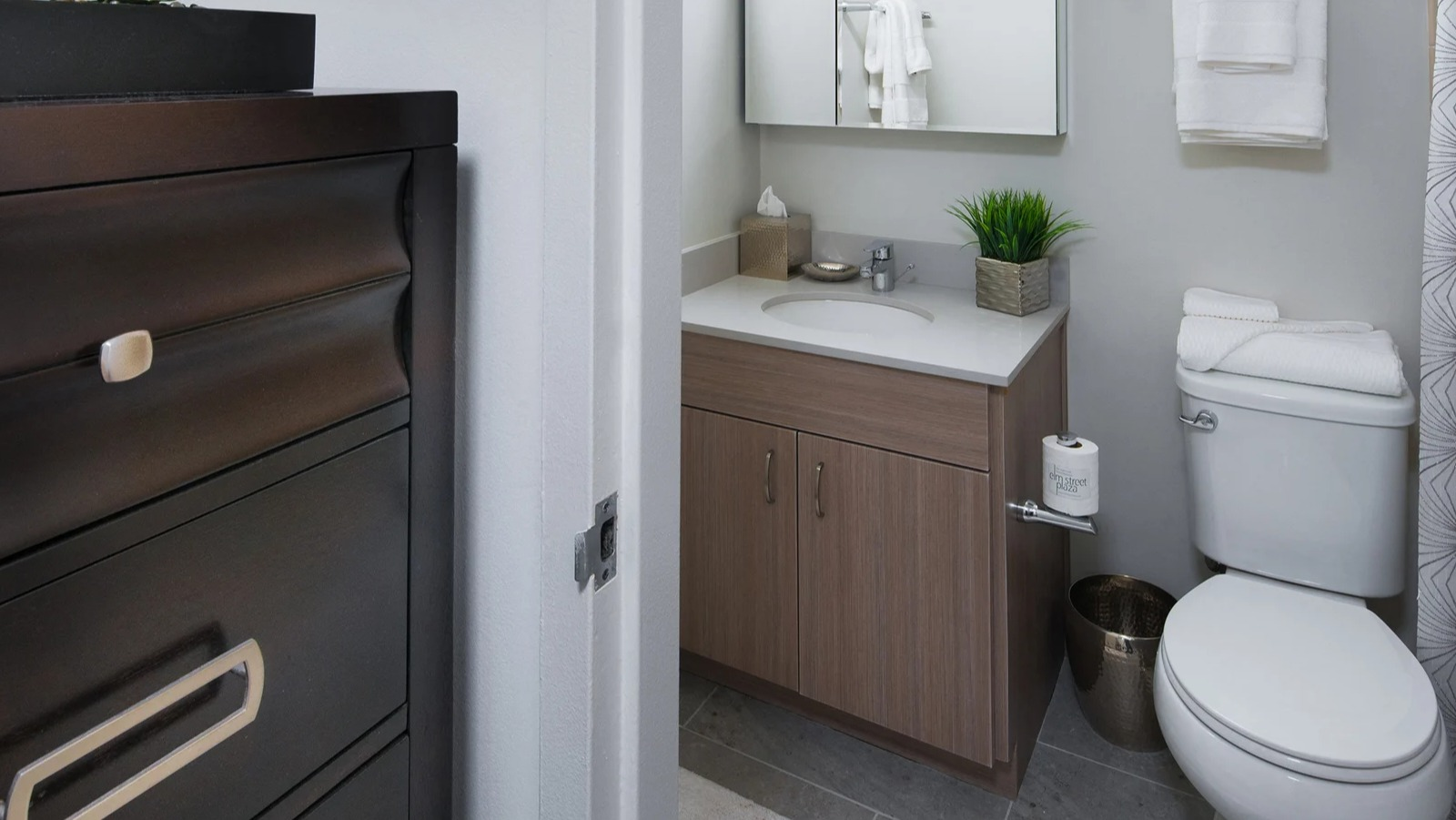 Modern apartment bathroom with a light wood vanity, mirrored cabinet, and a tiled shower at Elm Street Plaza Chicago