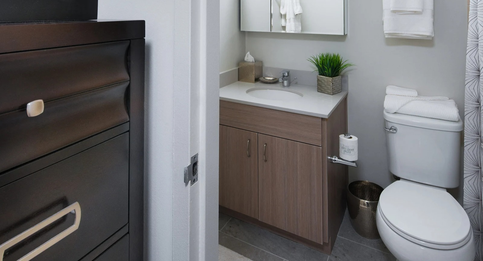 Modern apartment bathroom with a light wood vanity, mirrored cabinet, and a tiled shower at Elm Street Plaza Chicago